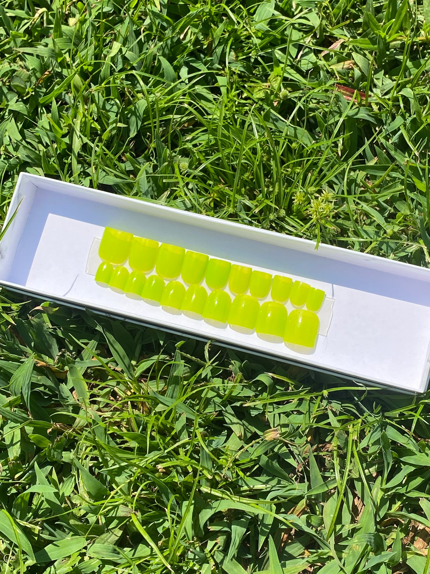 Lime🍋‍🟩